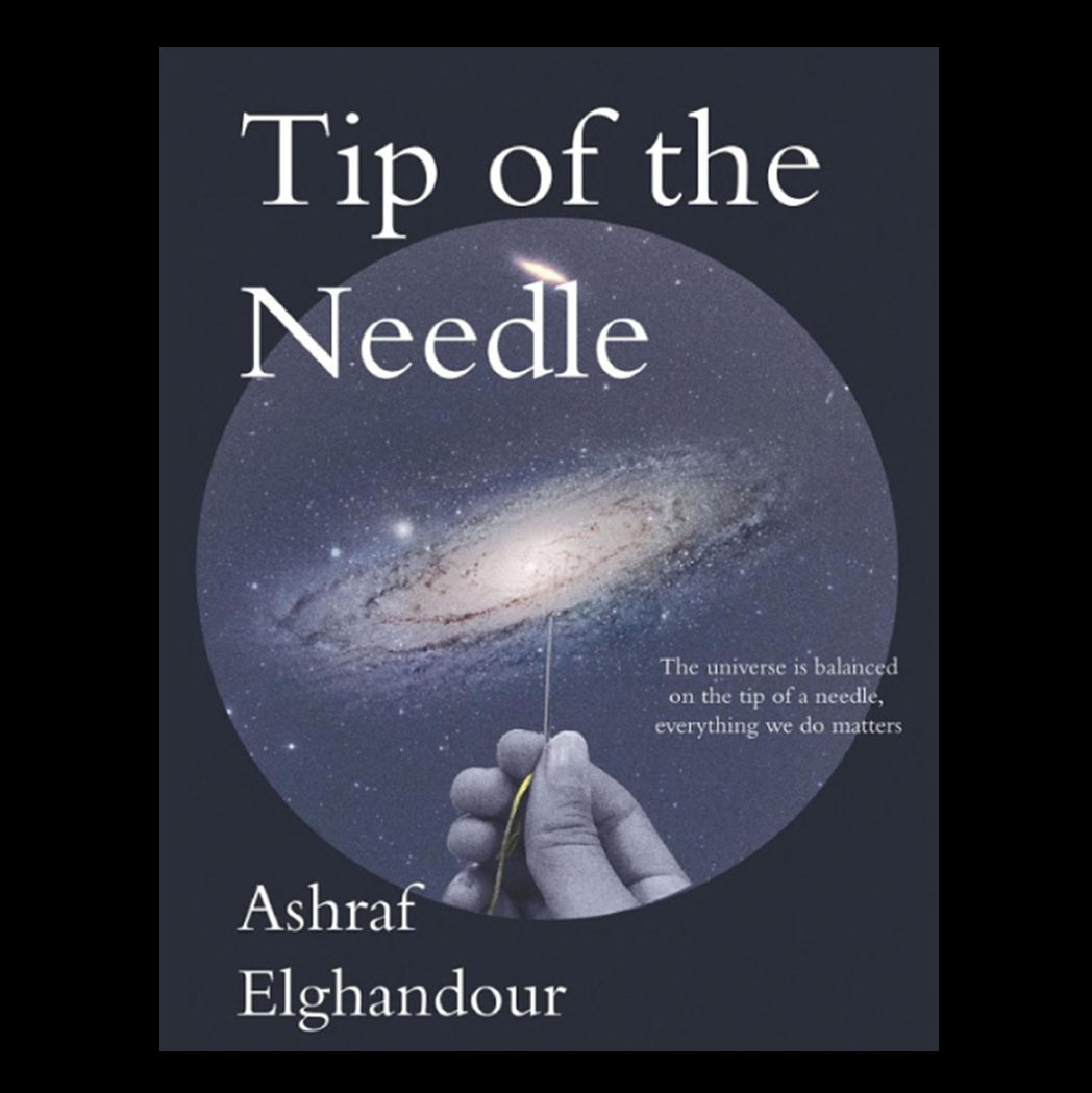 Tip of the Needle By Ashraf El Ghandour